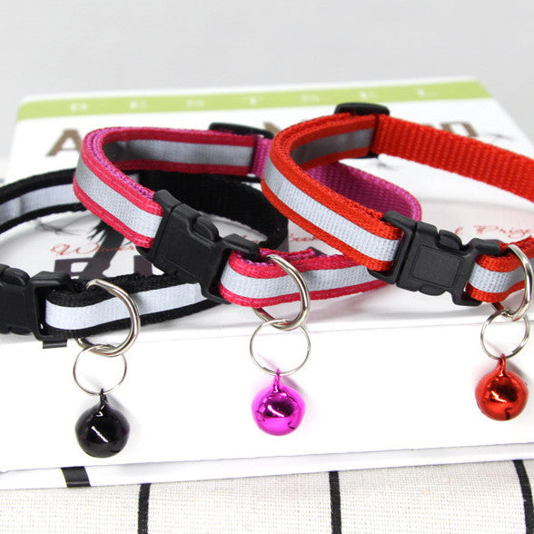 Collars, Leashes, and harnesses.